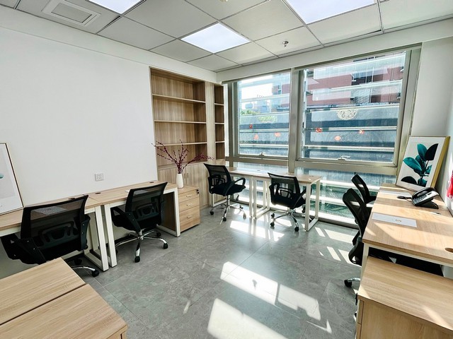 佛山石金钱龟养殖厂家推荐