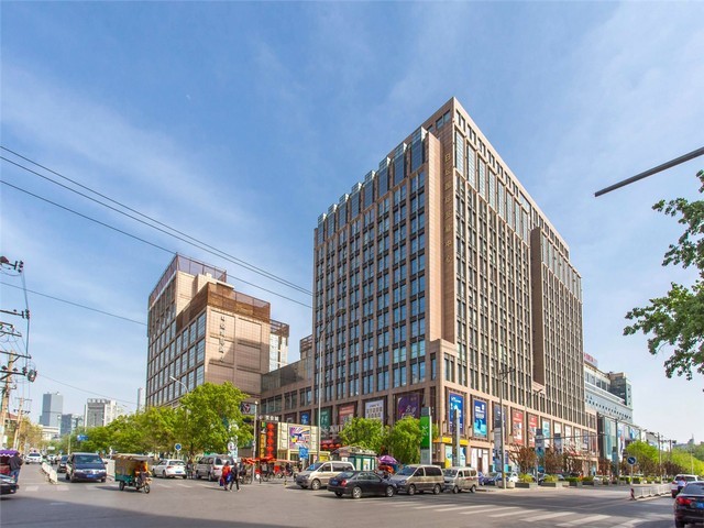 佛山石金钱龟养殖厂家推荐